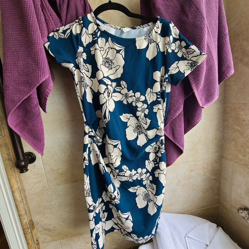 Pinkblush maternity dress